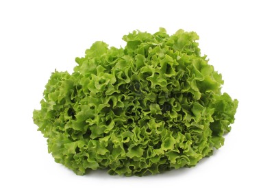 Салат романо 1 кг - купить в Красноярово